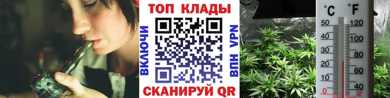 Наркота Алапаевск Метадон  Каннабис  АМФ  Псилоцибиновые грибы  КОКАИН  ссылка на мегу   А ПВП 