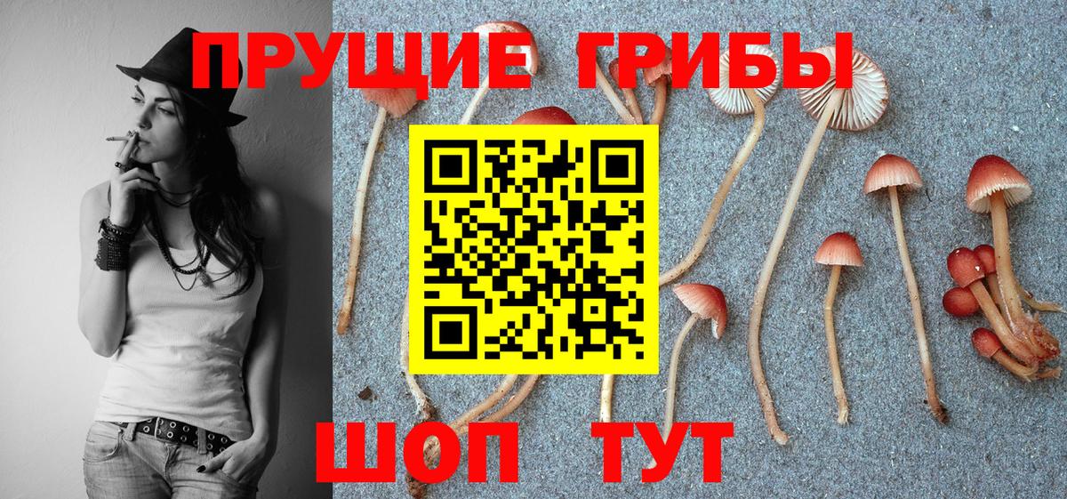 купить  цена  Вход с VPN  Алапаевск  Галлюциногенные грибы мухоморы 